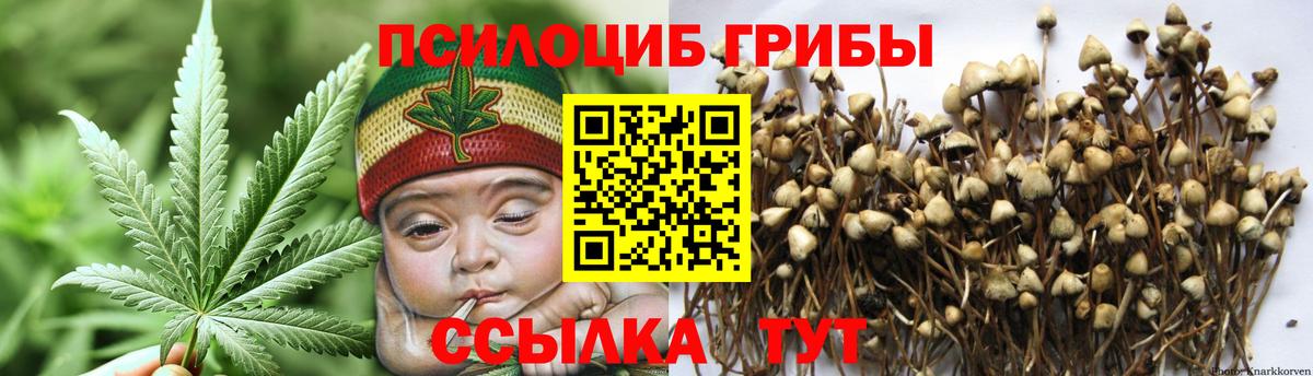Армавир  Псилоцибиновые грибы мухоморы  Вход с VPN 